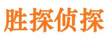 龙门市侦探公司